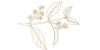 Ayahuasca gold